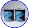 Ramuc Hi Build Epoxy Swimming Pool and Spa Paint - 2 gallon kit